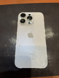 IMG_1016-scaled-e1737278361494